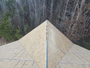 Roof Sheathing Detail Troy NC